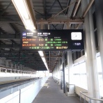 ジャスティスと愉快な仲間達!