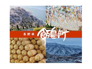 💻「飯島町議会　皇室典範」で検索GO👍