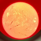 『12/20(土)にサイトロンジャパン大阪ショールームで太陽観察会を開催【追記】2025/12/17』の画像