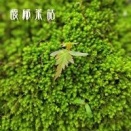 「美」について思ふ