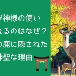 Moe Japan News＠もえじゃぱ