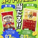 マーキー 49歳からの42.195km