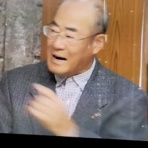 本物の無垢木材　～茨木市戸田材木店・セルバの木の虫ブログ～
