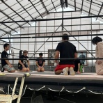 KAMIKAZEの『クセになるブログ』
