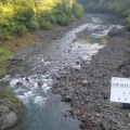 有田川ダム上　解禁直前情報
