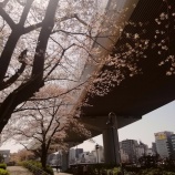 『足の怪我が再発 vol.2160』の画像