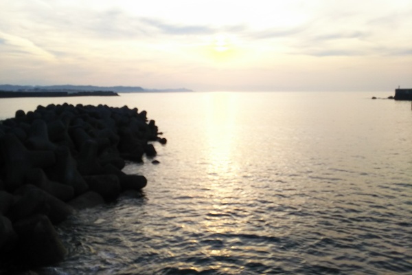 土佐んちゅぬ釣行記 キス