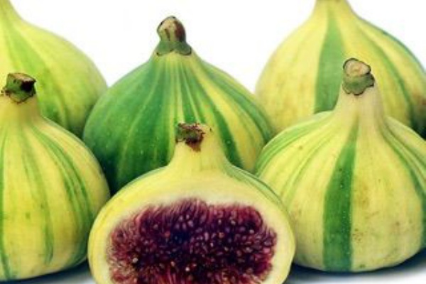 カリフォルニアの日常 ワインとおつまみと