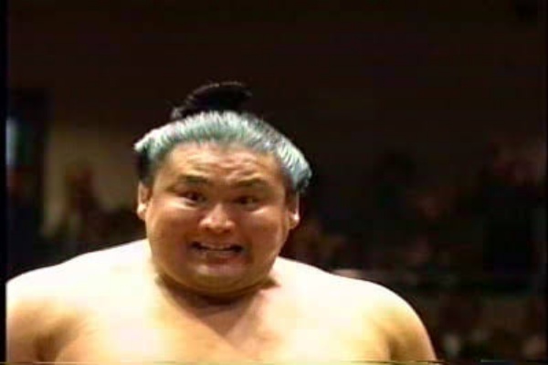 すもにゅ 貴乃花 すもにゅ 貴乃花