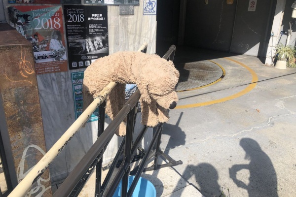 音犬ミュートの 今夜は君を帰さない