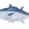 なあキハダマグロってどうやって釣るんや？
