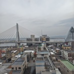 店長の犬猫な日々　山形ペットショップ　店長　ブログ