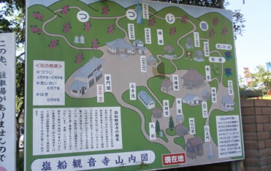 『2014/5/4 塩船観音　つつじ』の画像