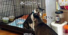 嵐の前にすること。