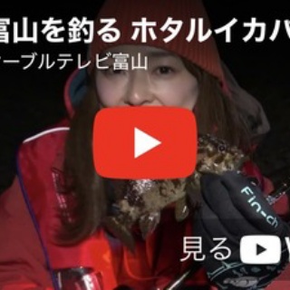 フラッター日誌