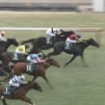 【競馬】東京新聞杯はルメール騎乗のトロヴァトーレがV