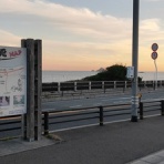 ときどきひびき農園日記