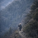 灰色の僧のはなし