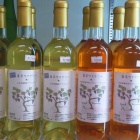 �ؿ����谷������!  ����磻�ʥ꡼���٤��ޤ���!�٤β���