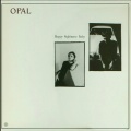 Ǥʬɥǥåߥ塼å硡OPAL - Happy Nightmare Baby