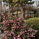 ヘーゲル左派からマルクス左派へ！ （02）