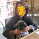 都内ワンちゃんOKなレストラン(テラスOK)　-　46　新大久保駅『ソムオー新大久保店』