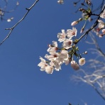 miyoの株式投資奮闘記♪