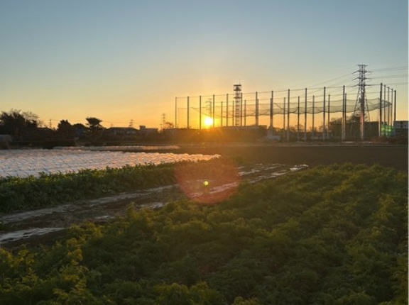 今日は晴れて風が強いシェルター地方です。