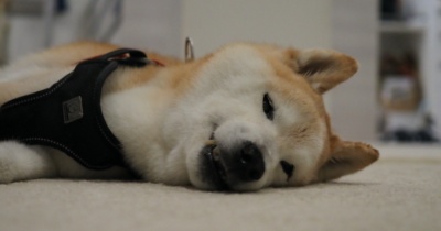 無事お見送り…