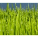7月もあっという間に過ぎ去って