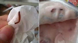 【バカ発見器】女子高生「ヨーグルトに虫が!」 → 飲酒・喫煙がバレて逃亡 明治「混入はあり得ない」