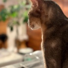 水滴がしたたるイイおとこ？
