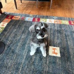 くーちゃんのHappy Diary