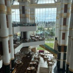 趣味の為に生きて行く。