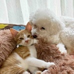 易経/陰陽五行 こやまとしのりのブログ