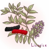 『Make a complaint（クレームを言う）』の画像