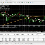 MeyのFX大成功（予定）コロナへの逆襲