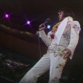 Graceland Style 23 招き入れる