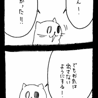 ドワーフキャットタオルちゃん38