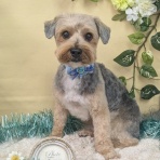 わん１００（ワンハンドレッド）四街道店