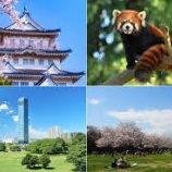 『千葉県 千葉市の看護師、常勤・派遣・非常勤・パート・委託求人』の画像