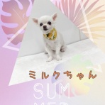 日々、ＪＡＭにあり