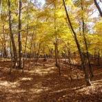 踏み入る先にあるものはL