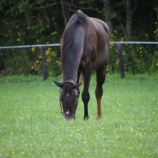 『湿度』の画像