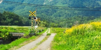 旦那の地元の田舎に引っ越して来たら何かと「ルールが～ルールが～」ってうるさい。田舎のルールなんて私には関係ないし、非常識なのは地元民の奴ら！