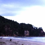 ペットショップふじやのブログ