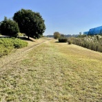 黄昏時の落としもの