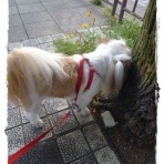 いつまでも一緒だよ♪