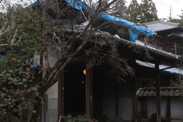 ひばりblog ちゃのわのかい