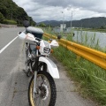 暑いのにバカは走り出す
